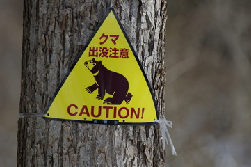 熊の目撃情報